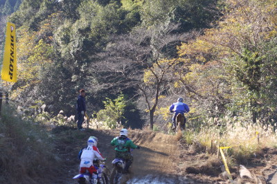 img0061.jpg