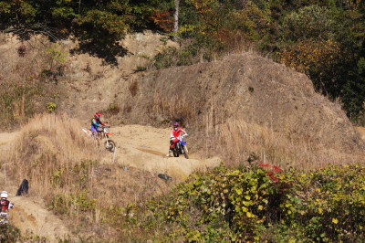 img0206.jpg