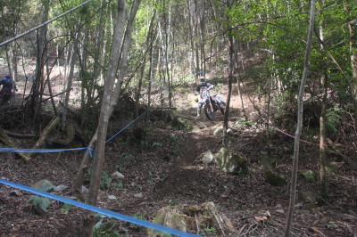 img0706.jpg